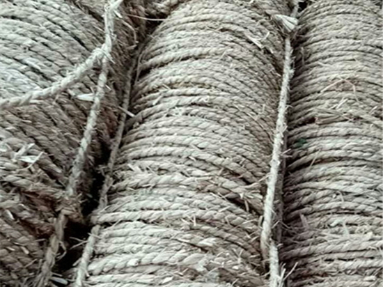 園林綠化保濕保溫草繩:市場前景與趨勢 園林綠化保濕保溫草繩:市場前景與趨勢