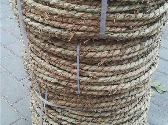 園林綠化保濕保溫草繩規(guī)格與要求詳解 園林綠化保濕保溫草繩規(guī)格與要求詳解