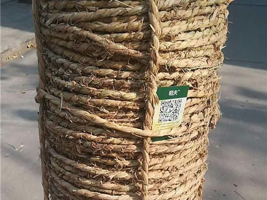 草繩在設(shè)備包裝中的應(yīng)用前景 草繩在設(shè)備包裝中的應(yīng)用前景