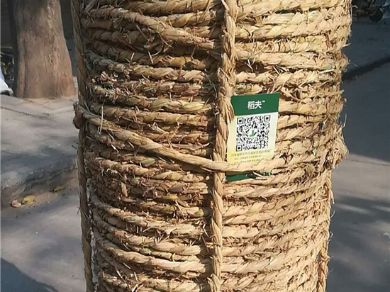 防滑管樁草繩在設(shè)備包裝中的作用與價(jià)值 防滑管樁草繩在設(shè)備包裝中的作用與價(jià)值