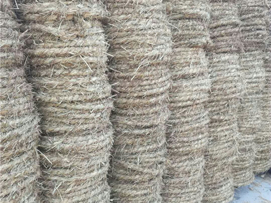 園林綠化保濕保溫草繩廠家的發(fā)展策略 園林綠化保濕保溫草繩廠家的發(fā)展策略