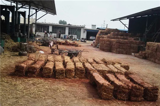 探討護(hù)坡草棒在河道治理中的技術(shù)要點(diǎn) 探討護(hù)坡草棒在河道治理中的技術(shù)要點(diǎn)