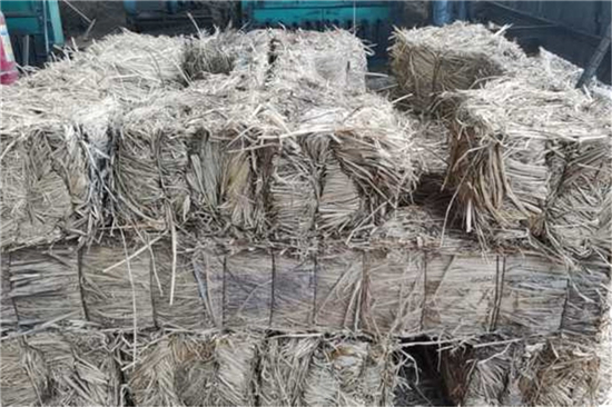 草支墊在河灘恢復(fù)工程中的應(yīng)用實(shí)踐和效果評(píng)估 草支墊在河灘恢復(fù)工程中的應(yīng)用實(shí)踐和效果評(píng)估