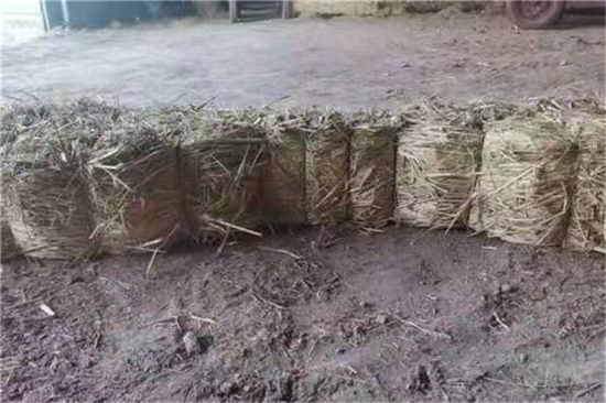 草支墊生產(chǎn)廠家，用心打造高品質(zhì)產(chǎn)品