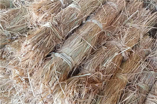 草支墊研發(fā):滿(mǎn)足不斷變化的市場(chǎng)需求 草支墊研發(fā):滿(mǎn)足不斷變化的市場(chǎng)需求