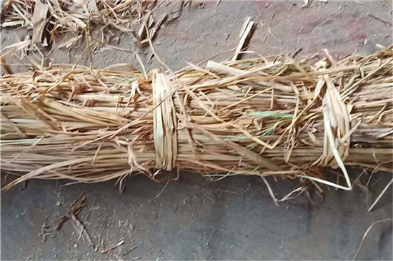 草棒護(hù)坡:綠色邊坡防護(hù)的新選擇 草棒護(hù)坡:綠色邊坡防護(hù)的新選擇