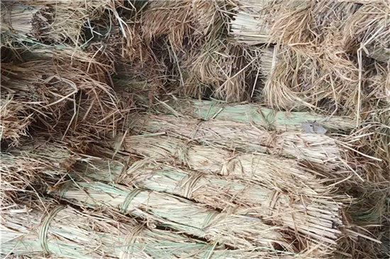 草支墊在鋼廠鐵路裝載中的防滑與加固解析(條形草支墊厚度為多少mm的壓實(shí)后高度不小于10mm) 草支墊在鋼廠鐵路裝載中的防滑與加固解析(條形草支墊厚度為多少mm的壓實(shí)后高度不小于10mm)