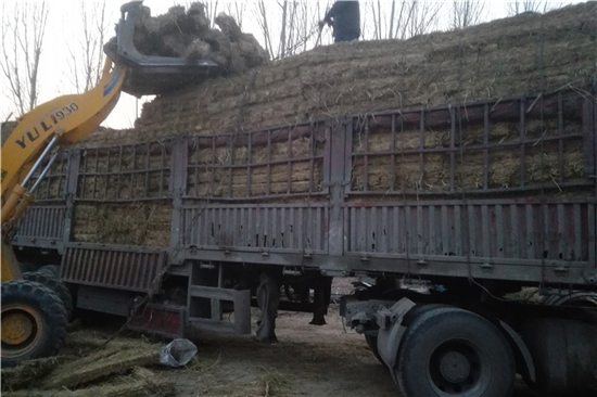 稻夫草支墊在鐵路運(yùn)輸中的環(huán)保與經(jīng)濟(jì)效益分析