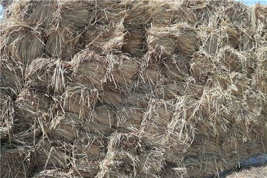 淺析護(hù)坡草棒在邊坡防護(hù)工程中的應(yīng)用 淺析護(hù)坡草棒在邊坡防護(hù)工程中的應(yīng)用