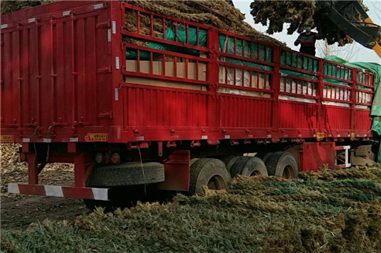 稻夫草支墊在鐵路運(yùn)輸中對(duì)貨物的平穩(wěn)支撐 稻夫草支墊在鐵路運(yùn)輸中對(duì)貨物的平穩(wěn)支撐