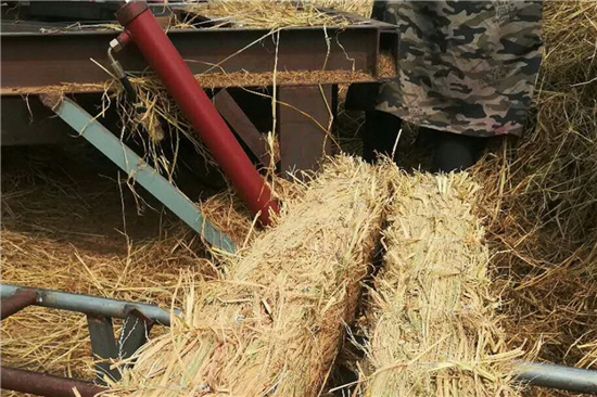 鋼廠鐵路裝載防滑草支墊的選購(gòu)指南(防滑草墊屬于什么用品) 鋼廠鐵路裝載防滑草支墊的選購(gòu)指南(防滑草墊屬于什么用品)