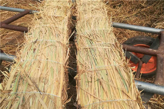 鋼廠鐵路裝載防滑草支墊的市場(chǎng)前景分析(防滑草墊屬于什么用品) 鋼廠鐵路裝載防滑草支墊的市場(chǎng)前景分析(防滑草墊屬于什么用品)