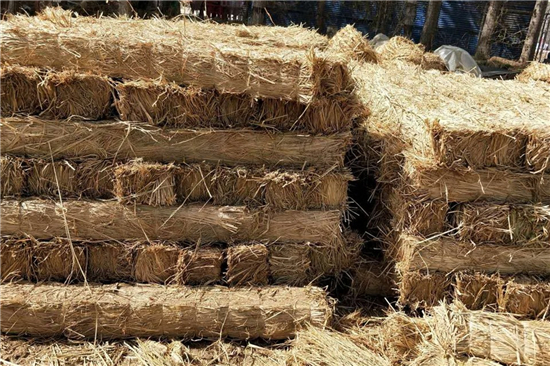 鐵路工程中草支墊的使用是否會(huì)對(duì)環(huán)境造成污染？