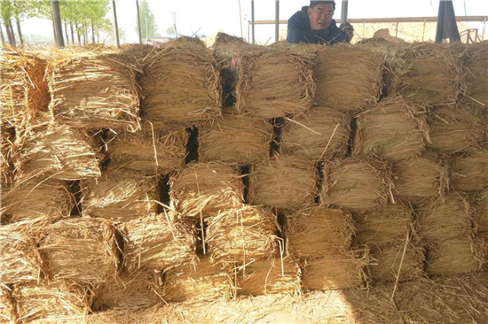 專(zhuān)業(yè)鋼廠鐵路裝載加固防滑草支墊廠家的發(fā)展之路(鐵路專(zhuān)用草支墊多少錢(qián))