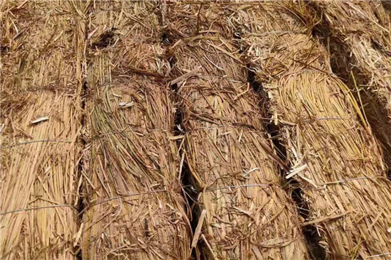 鐵路鋼廠裝載加固 防滑草支墊的性能(防滑草墊在哪里有賣) 鐵路鋼廠裝載加固 防滑草支墊的性能(防滑草墊在哪里有賣)