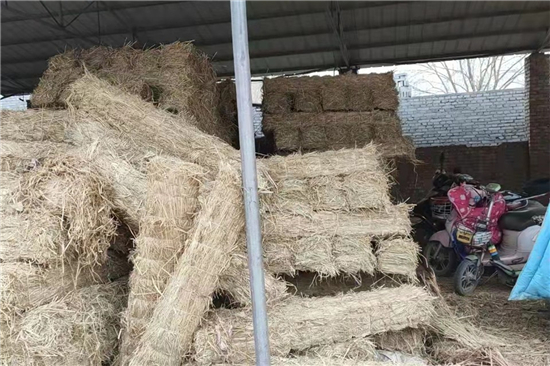 鋼廠鐵路運(yùn)輸防滑加固稻夫草支墊的技術(shù)創(chuàng)新 鋼廠鐵路運(yùn)輸防滑加固稻夫草支墊的技術(shù)創(chuàng)新