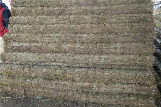 未來(lái)鐵路草支墊的發(fā)展方向 未來(lái)鐵路草支墊的發(fā)展方向