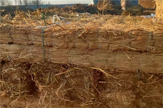 卷鋼草支墊的安裝與維護