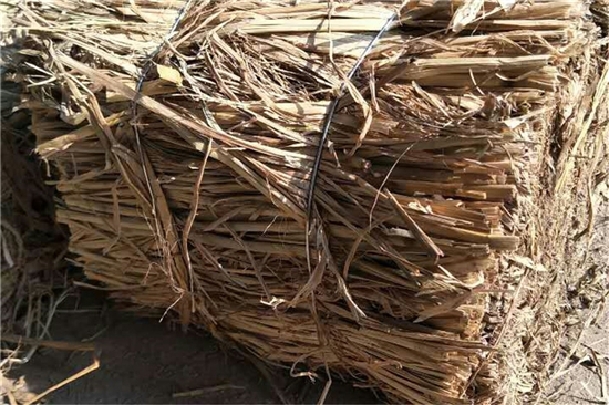 鋼廠鐵路運(yùn)輸防滑加固稻夫草支墊的行業(yè)動(dòng)態(tài)(稻草防腐) 鋼廠鐵路運(yùn)輸防滑加固稻夫草支墊的行業(yè)動(dòng)態(tài)(稻草防腐)