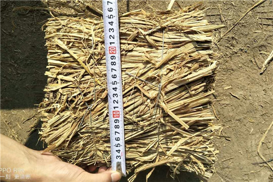 草棒護(hù)坡:綠色邊坡防護(hù)的新選擇 草棒護(hù)坡:綠色邊坡防護(hù)的新選擇