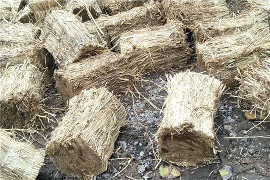 防滑草支墊在鋼廠鐵路裝載中的創(chuàng)新與應(yīng)用