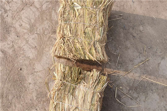 鋼廠鐵路裝載防滑草支墊的規(guī)格與參數(shù)(防滑草墊多少錢一塊) 鋼廠鐵路裝載防滑草支墊的規(guī)格與參數(shù)(防滑草墊多少錢一塊)