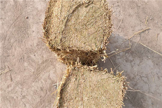 草支墊選購:關(guān)注性能與品質(zhì) 草支墊選購:關(guān)注性能與品質(zhì)