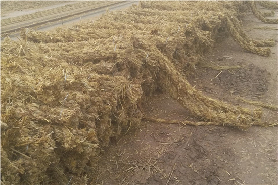 防滑草支墊在鋼廠鐵路裝載中的安全性能評估(草坪防滑墊) 防滑草支墊在鋼廠鐵路裝載中的安全性能評估(草坪防滑墊)