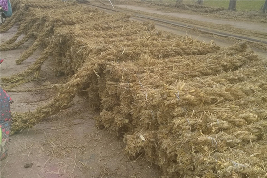 鋼廠鐵路運(yùn)輸防滑加固稻夫草支墊 保障運(yùn)輸安全的關(guān)鍵 鋼廠鐵路運(yùn)輸防滑加固稻夫草支墊 保障運(yùn)輸安全的關(guān)鍵