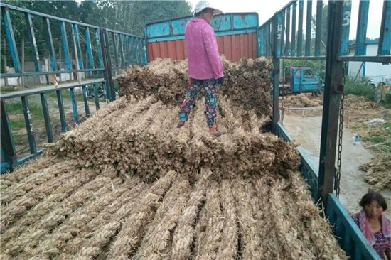 稻夫草支墊在鐵路貨運(yùn)中的創(chuàng)新應(yīng)用與實(shí)踐 稻夫草支墊在鐵路貨運(yùn)中的創(chuàng)新應(yīng)用與實(shí)踐