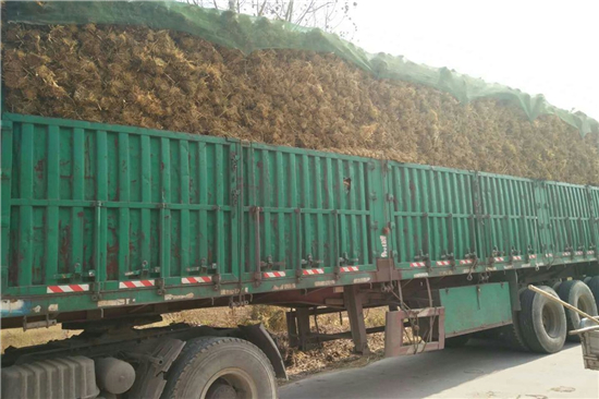 凹型草支墊:綠色防滑材料的選擇與應(yīng)用 凹型草支墊:綠色防滑材料的選擇與應(yīng)用