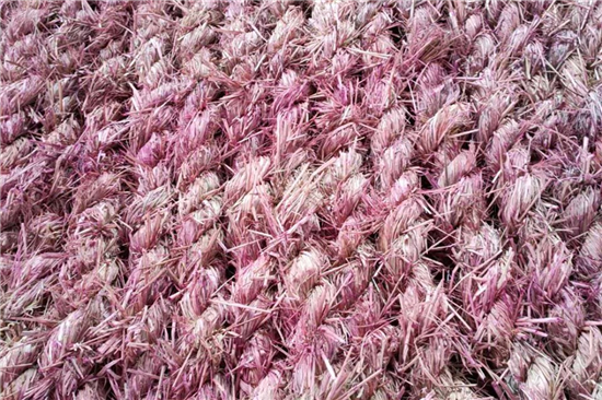 草支墊在河灘恢復(fù)工程中的應(yīng)用實(shí)踐和效果評(píng)估 草支墊在河灘恢復(fù)工程中的應(yīng)用實(shí)踐和效果評(píng)估