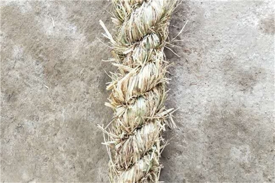 鐵路草支墊在海岸防護(hù)工程中的運(yùn)用效果分析