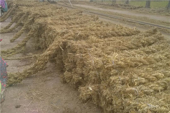 探討護(hù)坡草棒在邊坡防護(hù)中的作用機(jī)制 探討護(hù)坡草棒在邊坡防護(hù)中的作用機(jī)制