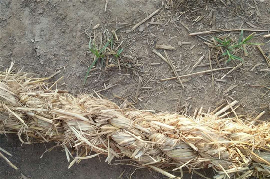 選擇草支墊，為地球做貢獻(xiàn)，為自己保駕護(hù)航