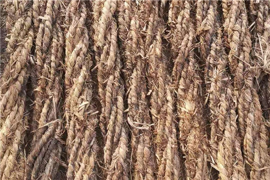 卷鋼草支墊的安裝與維護