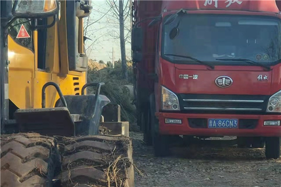 如何選擇適合自己的鐵路草支墊？