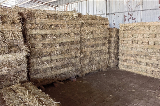 防滑草支墊在鋼廠鐵路裝載中的創(chuàng)新與實踐(防滑草繩捆扎方法) 防滑草支墊在鋼廠鐵路裝載中的創(chuàng)新與實踐(防滑草繩捆扎方法)