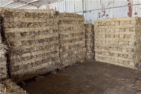 鋼廠鐵路裝載加固防滑草支墊廠家分享 選材與工藝(防滑草墊屬于什么用品) 鋼廠鐵路裝載加固防滑草支墊廠家分享 選材與工藝(防滑草墊屬于什么用品)