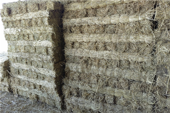 防滑草支墊在鋼廠鐵路裝載中的創(chuàng)新與實(shí)踐(防滑草墊在哪里有賣) 防滑草支墊在鋼廠鐵路裝載中的創(chuàng)新與實(shí)踐(防滑草墊在哪里有賣)