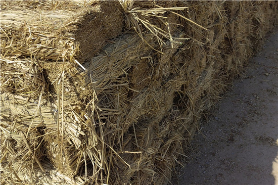 防滑草支墊廠家 為鋼廠鐵路裝載提供穩(wěn)定保障(防滑草墊在哪里有賣)