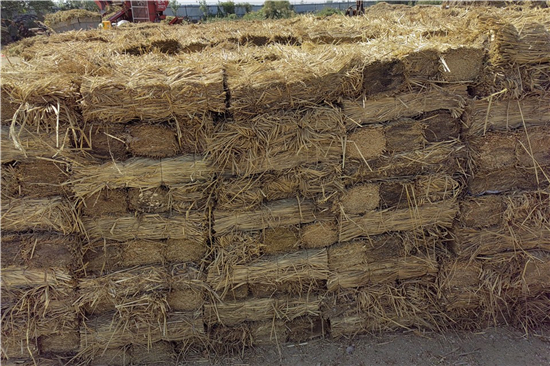 鐵路鋼廠裝載加固 防滑草支墊的選用與施工 鐵路鋼廠裝載加固 防滑草支墊的選用與施工