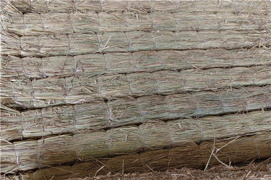 鋼廠鐵路裝載加固防滑草支墊廠家 產(chǎn)品優(yōu)勢(shì)解讀(防滑草墊多少錢(qián)一塊)