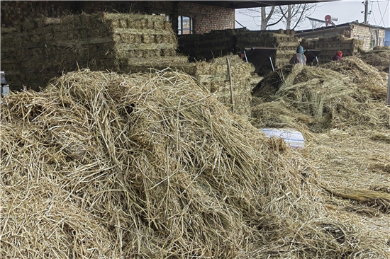 稻夫草支墊在鐵路運輸中對貨物的穩(wěn)定支撐(稻夫草編制品廠) 稻夫草支墊在鐵路運輸中對貨物的穩(wěn)定支撐(稻夫草編制品廠)
