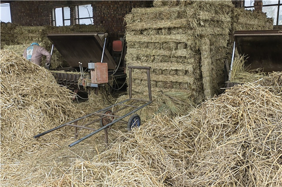 稻夫草支墊助力鐵路貨運安全與效率提升(稻草墊子價格批發(fā))