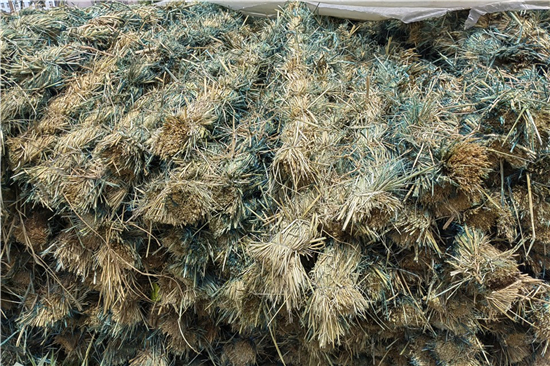 寫條關(guān)于鋼廠鐵路裝載加固防滑草支墊廠家 的文章標(biāo)題(鐵路專用草支墊多少錢) 寫條關(guān)于鋼廠鐵路裝載加固防滑草支墊廠家 的文章標(biāo)題(鐵路專用草支墊多少錢)