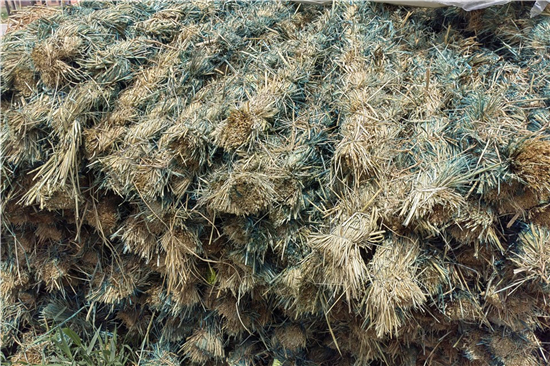 鋼廠鐵路裝載防滑草支墊的性能優(yōu)勢 鋼廠鐵路裝載防滑草支墊的性能優(yōu)勢