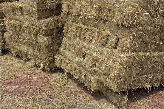 防滑草支墊在鋼廠鐵路裝載中的關(guān)鍵技術(shù)(防滑草繩捆扎方法)