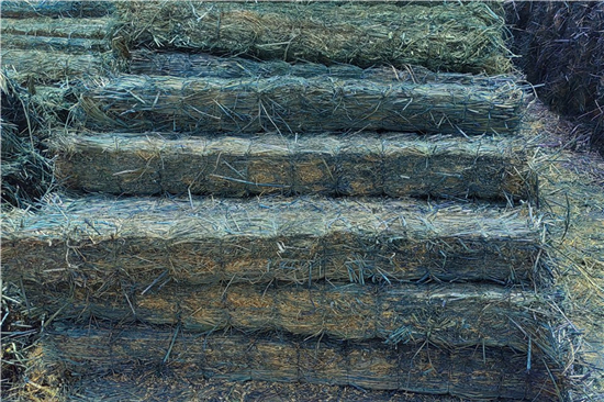 鋼廠鐵路運輸防滑加固稻夫草支墊的應(yīng)急預案 鋼廠鐵路運輸防滑加固稻夫草支墊的應(yīng)急預案