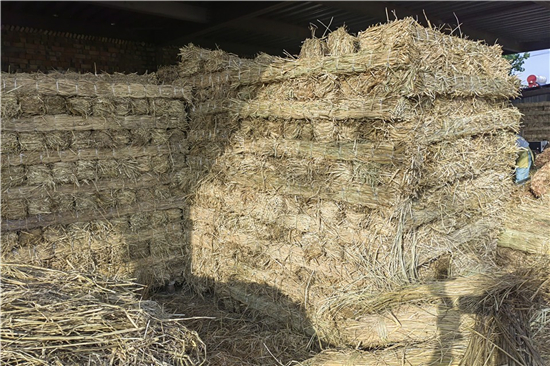 鋼廠鐵路裝載加固 防滑草支墊的作用與選擇 鋼廠鐵路裝載加固 防滑草支墊的作用與選擇